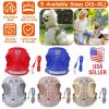 Pet Mesh Harness Dog Leash Set Reflective Chest Strap Adjustable Puppy Vest For Puppies Breeds Dogs Cats Walking Outdoor
